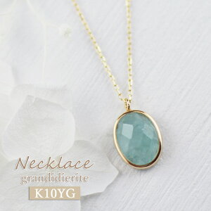 K10 OfBfBGCg lbNX 󏭐 VR fB[X u[   AXg[ CG[S[h ANZT[ ֗  `F[ I[o ꗱ 10 10k ۏ؏t 