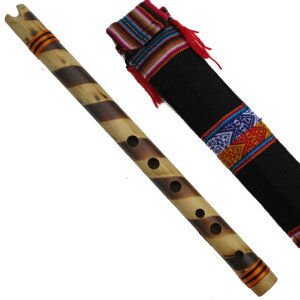 P[i ip Z-X10 AfXy tHN[y y | Blass tHN[y y[