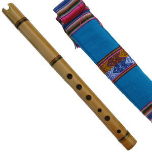 P[i y[ TP-13 tHN[y y `y AfXy tHN[y | tp vp