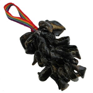 tHN[y y[ IN-013 AfX y `N`X `t`X tHN[y Rr `y Rt