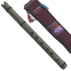 y[ y GUA-20 P[i AfXy tHN[y OioC^ Guayacan Wari CJ iXJ tHN[