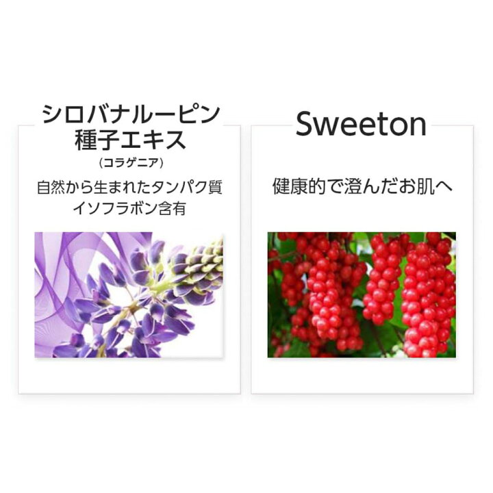 楽天市場】公式 ラヴィアン マイクロコラーゲンコアクリーム 50ml 
