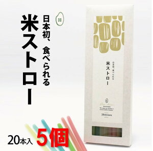 y5ZbgzăXg[20{ {IHׂXg[ SAR SDGs Ev S~팸 HX JtF AEghA Jt Vj f