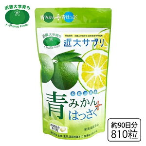 ԕ ߑTv L_C ݂+͂ Tvg 810 3 K h{⏕Hi ЃAEt@[}ߑ 