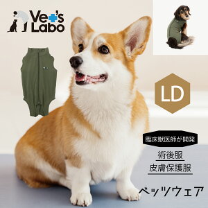 術後服 保護服 犬用 ウェア ベッツウェア 男の子用 カーキ LD