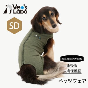 p㕞 ی앞 p EFA xbcEFA j̎qp J[L SD