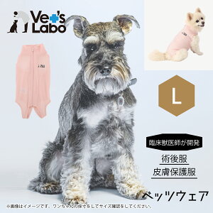 p㕞 ی앞 p EFA xbcEFA ̎qp sN L