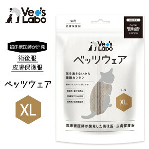p㕞 ی앞 Lp EFA xbcEFA O[W XL@ՏbtJ p㕞E畆ی앞 XgXt[ Lk