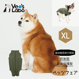 p㕞 ی앞 p EFA xbcEFA j̎qp J[L XLp㕞 ی앞 p EFA xbcEFA j̎qp J[L XL