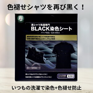 ���V���c������BLACK���F�V�[�g16���� ���F ���� �V�[�g ����V�[�g �ߗ� �P�A ������ꒅ ���i�� T�V���c ���F �F�򂹖h�~ �F���� �m�� �q�� ���ł����� ���i�� �u���b�N���F