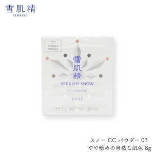 ᔧ KOSE R[Z[ ᔧ Xm[ CC tB pE_[ P[X  L   ێ pE_[ F ь c x[XCN