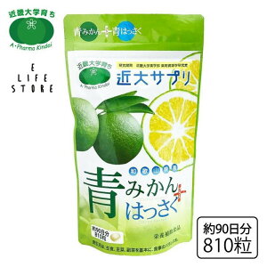 ԕ ߑTv L_C ݂+͂ Tvg 810 3 K h{⏕Hi ЃAEt@[}ߑ 