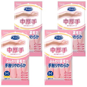 t@~[ [܂Ƃߔ] ƒp rj[   w拭 MTCY sN×4 Lb` H |  K[fjO