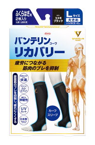 oeR[T|[^[ Jo[^Cv J[tX[u ӂ͂p 傫/LTCY(ӂ͂38~43cm)ErErp RXubN 2