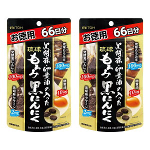 䓡 ӖE̓  ɂɂ p66 198 ݖ  yɂɂ ӖZT~ N⏕Hi Tv×2