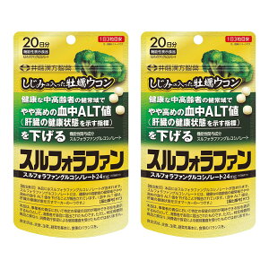 �䓡�������� �����݂̓��������y�E�R�� �X���t�H���t�@�� 60�� 20�����@�\���\���H�i ������ ���y �E�R�� ALT�l �̑�×2��