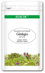 GNNeBbN C`E (MR) EcopbN 500mg×45JvZ ec021