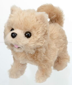 C(IWAYA) sbR[l |jA drœʂ 3324-1