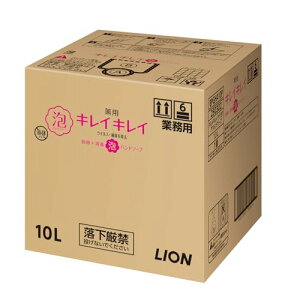 Ɩp eʃLCLC p Anh\[v 10L