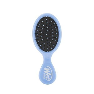 Wet Brush Squirt - - IntelliFlex -