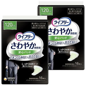 ܂ƂߔApbhjp 120Ct[ ₩ jp Spbh łSp 32(16×2pbN) 26 (ɂقǃĂ܂)