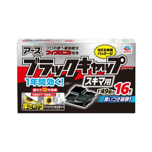 ubNLbv XL}p 16 SLu쏜 ŉa u^  쏜  SLu΍ hp򕔊Oi