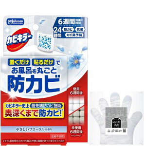 JrL[ CɒuhJrWF ₳t[̍ { C  | ܕt