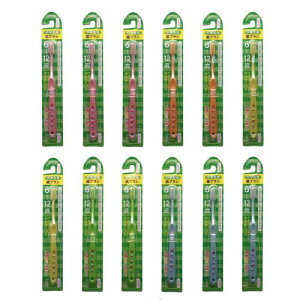 BULK LIFE(oNCt) fgt@C WjA ǂpuV wp 6?12 12{