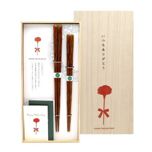 փv[gJ[l[Vؔ q ዷh  vw Mtg {(500)