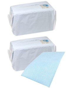 XgbNXfUC JE^[NX R  唻 200 (100×2Zbg) u[ vŔjɂ Ɛ@ ĝ _X^[ @ ӂ SA-173