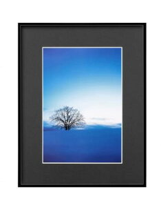 ハクバ HAKUBA 額縁 ZEROフレーム G-01AZ A4サイズ ブラック 軽量 樹脂フレーム 吊り紐付 PS板で割れない フォトフレーム AMZFG1BKA4 4977187488494