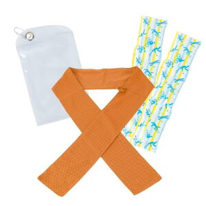 W[W[Gk ⊴ ^I ACX^I ⊴^I { ۗ ۗ STCY qǂp IW ҏ M ΍ N[ UVJbg