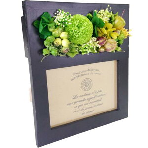 Parfait t[Mtg蕨  ̓ j vU[uht[ tHgt[ O[} L Eۏ؏t