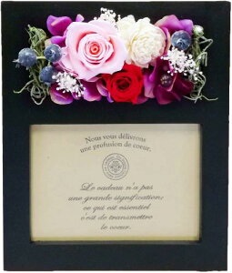 Parfait t[Mtg蕨  ̓ j vU[uht[ tHgt[ sNbhubN L Eۏ؏t