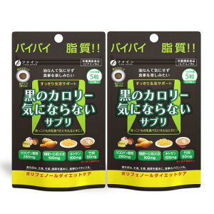 t@C(FINE JAPAN) _CGbg PA   J[ CɂȂȂ 150 NQ_ LgT |Y Y ×2