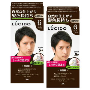 LUCIDO(V[h) ܂ƂߔvbVPAJ[(򕔊Oi) Yp V[gwA4   _[NuE Zbg 2 (x 1)