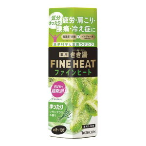 򕔊Oi Y_  t@Cq[g OX OX̍ O[ 400O (x 1)