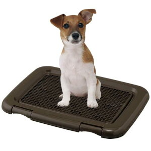 ACXI[}  gC bVJo[t t`ꂵɂg[jOybgg[ M[ CIz R `R[O[