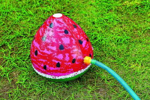 CKV V[XCJ 30×26cm PAA-FW RD ^