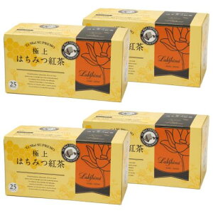 Lakshimi(NV~[) ɏ݂͂g eB[obO25ܓ×4Zbg