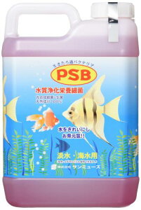 T~[Y PSB 2.1L