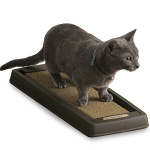 ACXI[}(IRIS OHYAMA) L ܂Ƃ _XgX S~̏Ȃ܂Ƃ X ܂уV[t CTS-540 uE