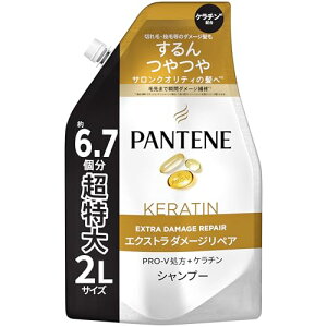 pe[ Vv[ 2L [6.7 ]lߑւe GNXg_[WyA