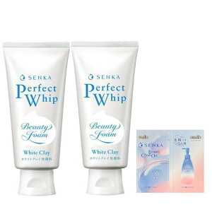  ܂ƂߔSENKA p[tFNgzCbv zCgNC tH[ 120g×2 +܂ ь p p   邨 Y D A fB[X Y