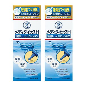 メディクイックH 医薬部外品 頭皮しっとりローション 120ml x 2P(乾燥によるフケとかゆみを予防)