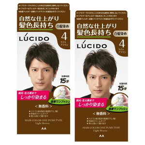 LUCIDO(V[h) ܂ƂߔvbVPAJ[(򕔊Oi) Yp V[gwA4   CguE Zbg 2 (x 1)