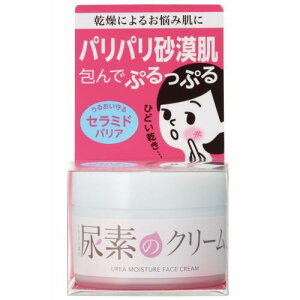 ₩f Af̂ƂN[  Af qA_ Z~h ێN[ 60g