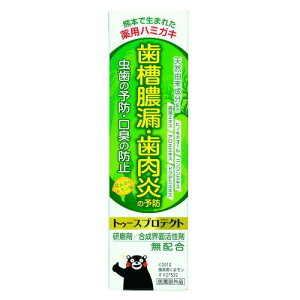 eCJ gD[XveNg100g [򕔊Oi]