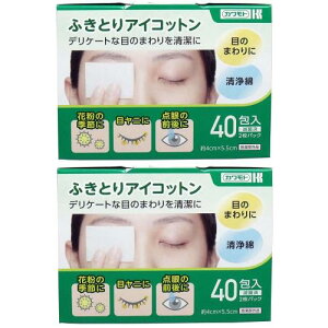 Jg ӂƂACRbg 4cm×5.5cm 40(2pbN)×2Zbg