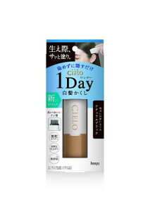 VG f[ 1Day  i`ubN oO 1߂  z[[